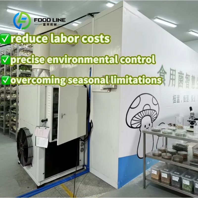 Agriculture Farming Technology - Sistema de Cultivo en Invernadero con