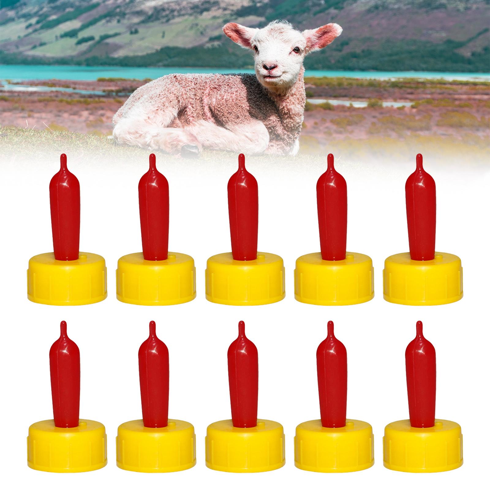Chupete de Goma Suave para Ove - Agriculture Farming And Livestock reseña y precio