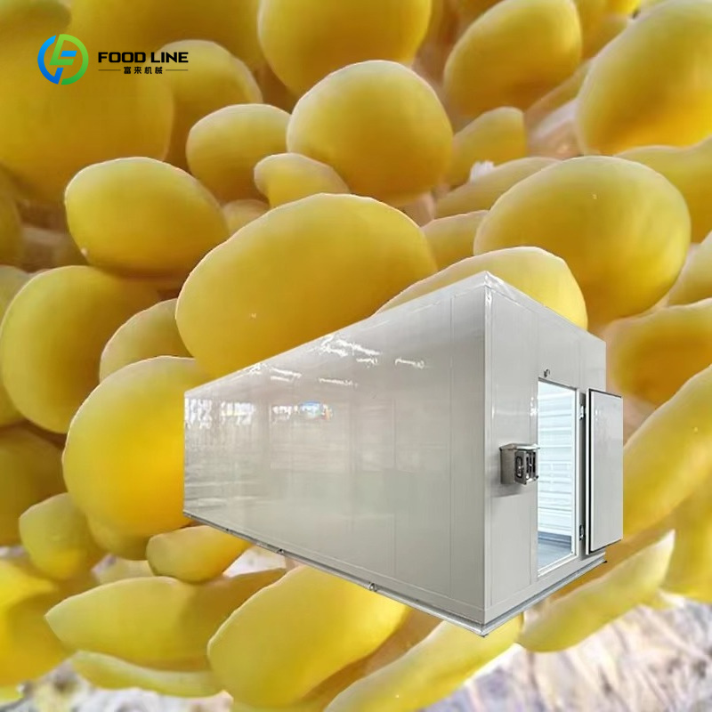 Cápsula Inteligente para Culti - Agriculture Farming Technology reseña y precio